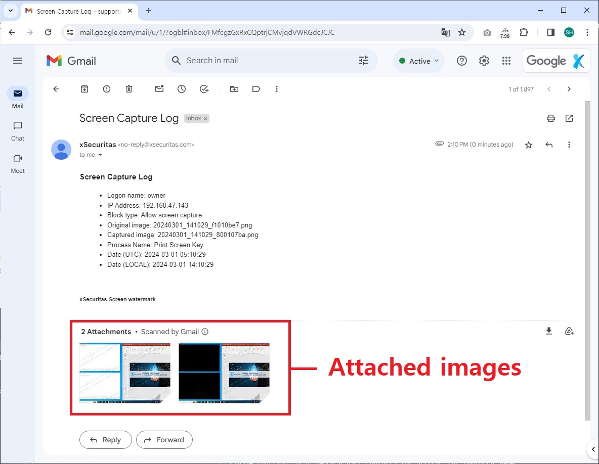 Example of capture log sent to administrator email